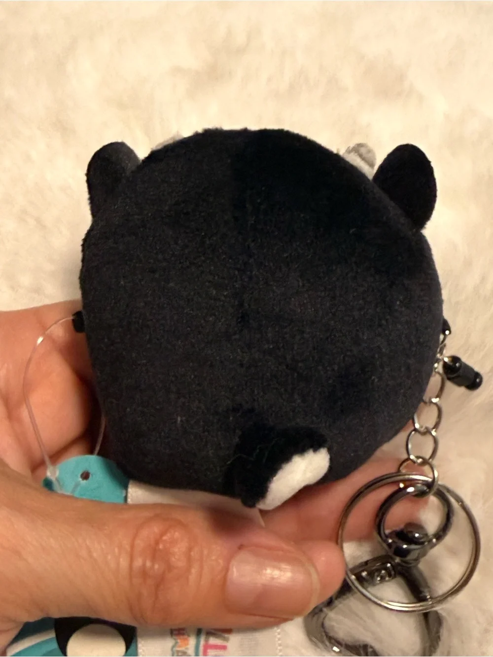 Squishmallows nwt gregory
